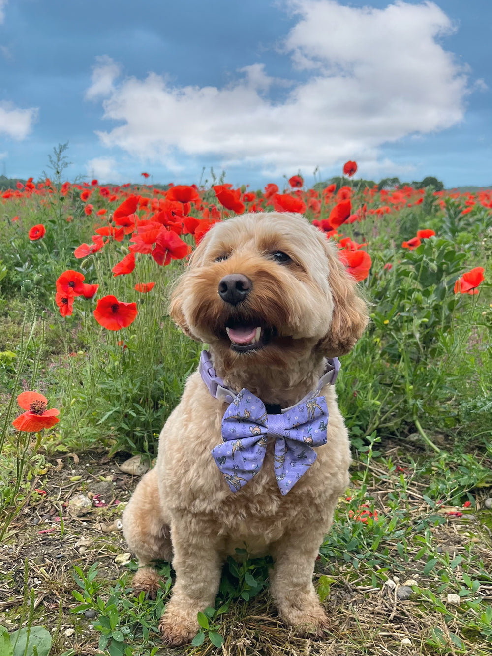 Disney© Sailor Bow Tie - Bambi + Friends Lilac