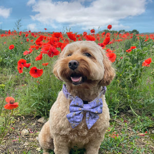 Disney© Sailor Bow Tie - Bambi + Friends Lilac