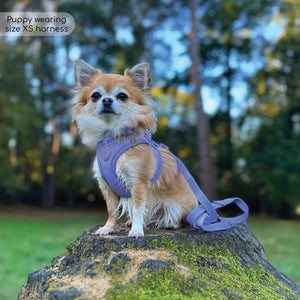 Pawsome Pup Harness - Lilac