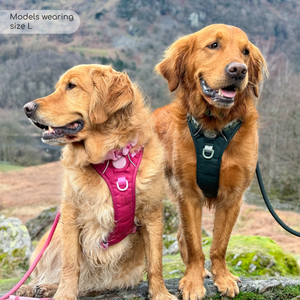 Tough Trails™ Harness - Walkies Ready® Raspberry Pink