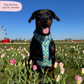Tough Trails™ Harness -  Fruit Punch
