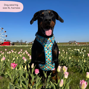 Tough Trails™ Harness -  Fruit Punch