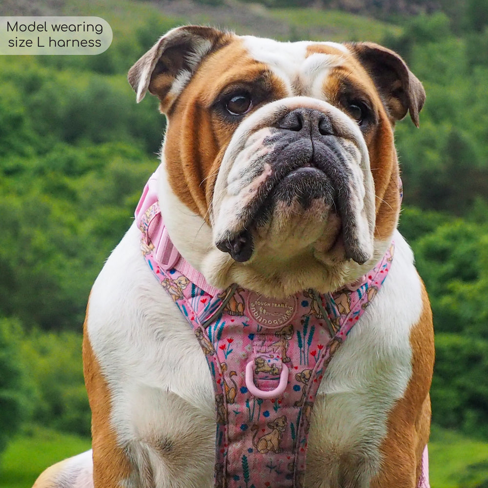 Disney© Tough Trails™ Harness - Nala