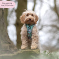 Disney© Tough Trails™ Harness - Jungle Book