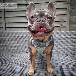 Disney© Tough Trails™ Harness - 100 Aker Wood