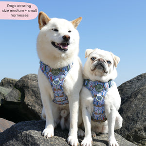 Tough Trails™ Harness -  Sandy Shores