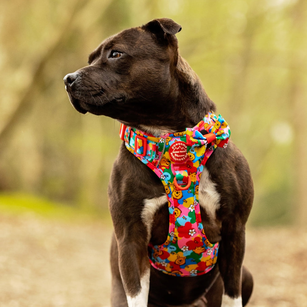 Disney© Bow Tie - Winnie Goes Retro