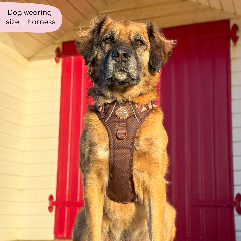 Tough Trails™ Harness - Walkies Ready® Chocolate Brown