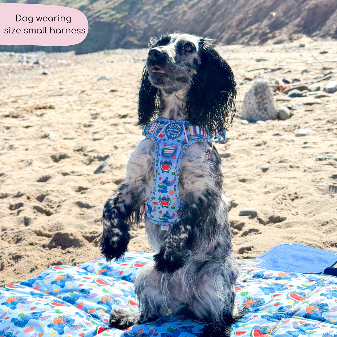 Disney© Tough Trails™ Harness - Stitch's Fruit Fiesta