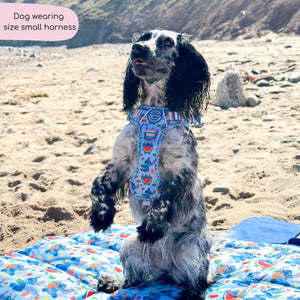 Disney© Tough Trails™ Harness - Stitch's Fruit Fiesta