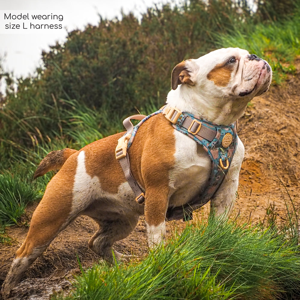 Disney© Tough Trails™ Harness - Lion Friends