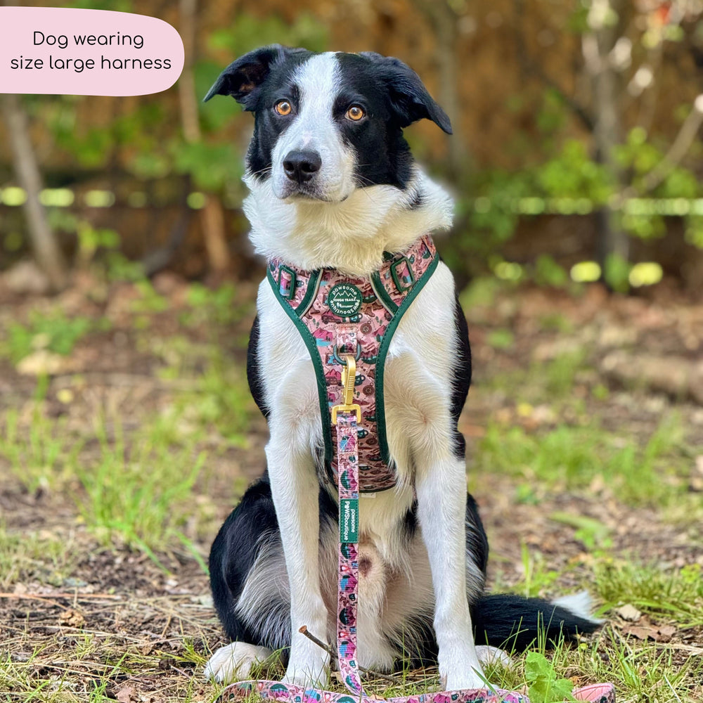 Tough Trails™ Harness -  Adventure Awaits