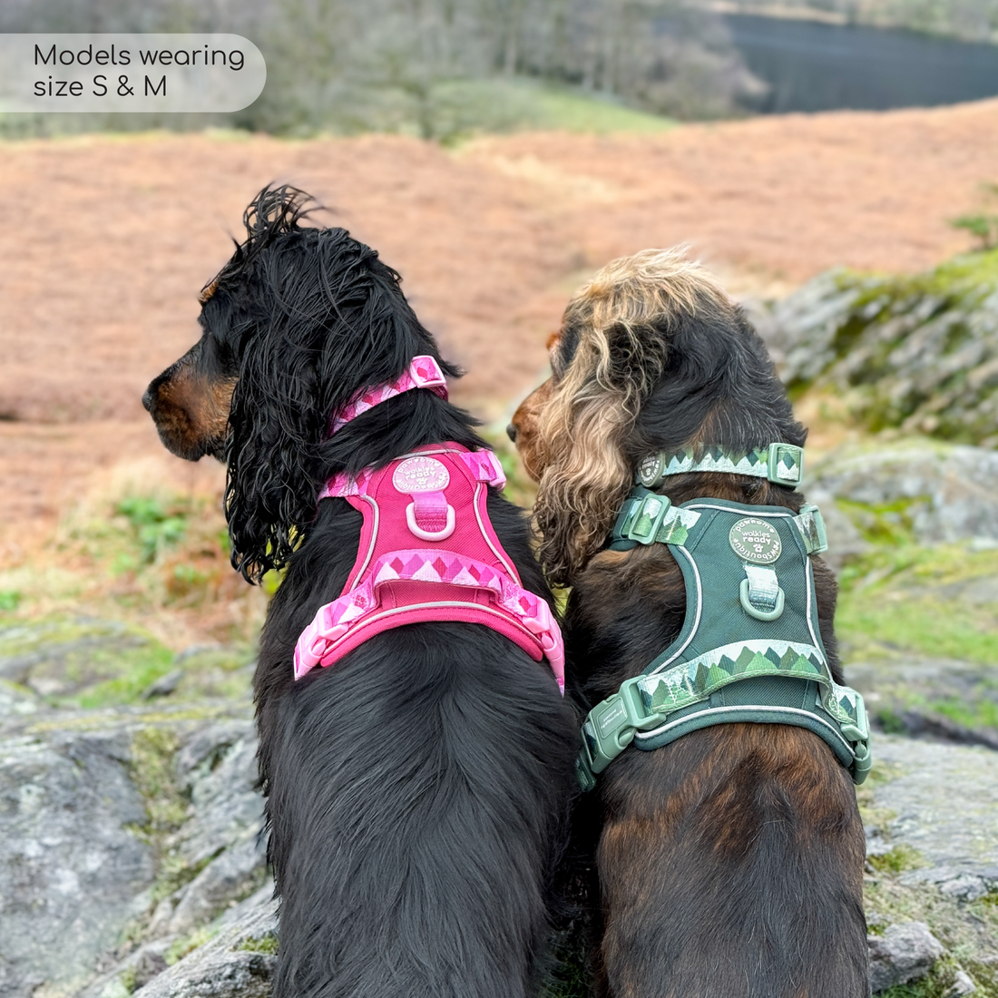 Tough Trails™ Harness - Walkies Ready® Raspberry Pink