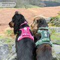 Tough Trails™ Harness - Walkies Ready® Raspberry Pink