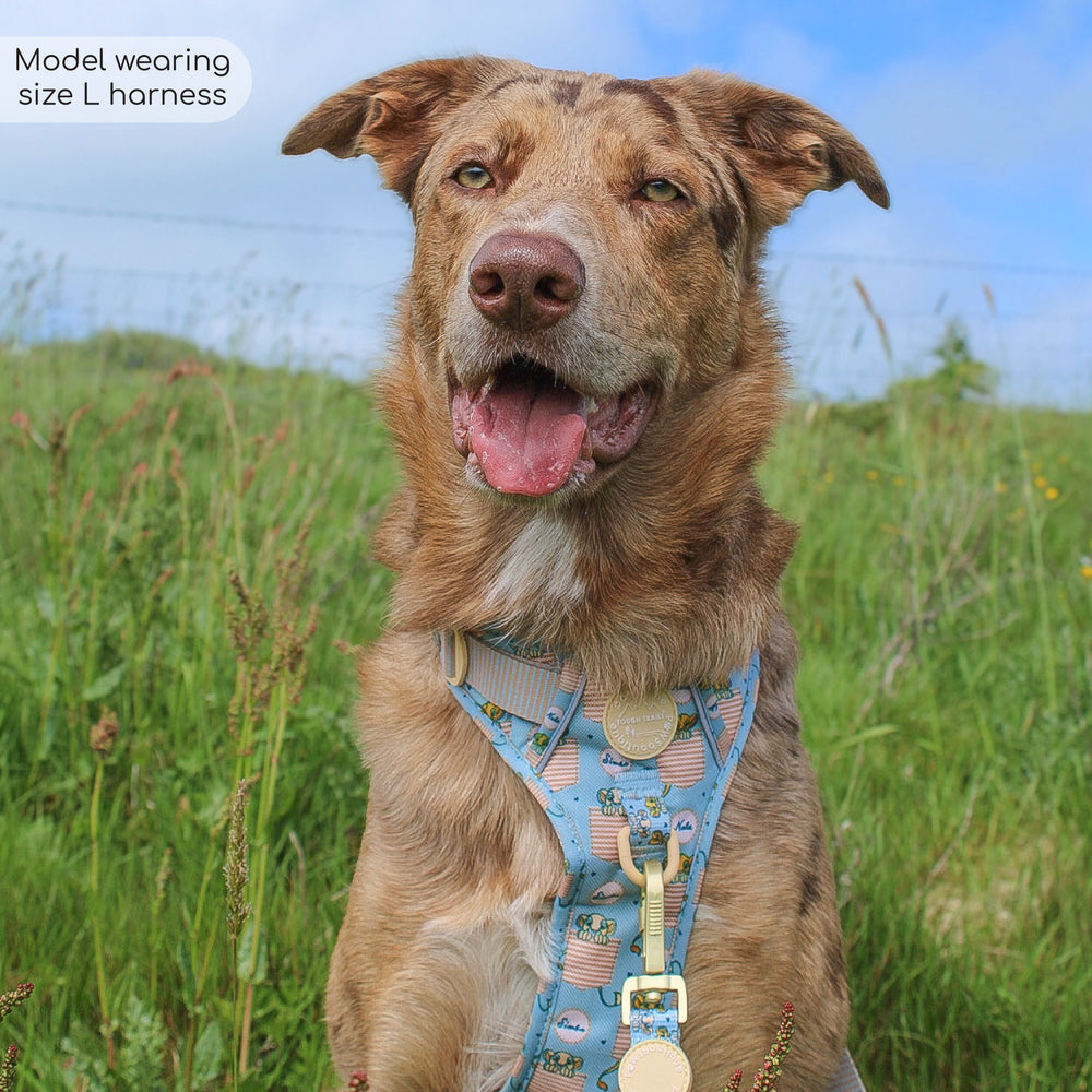 Disney© Tough Trails™ Harness - Lion Friends