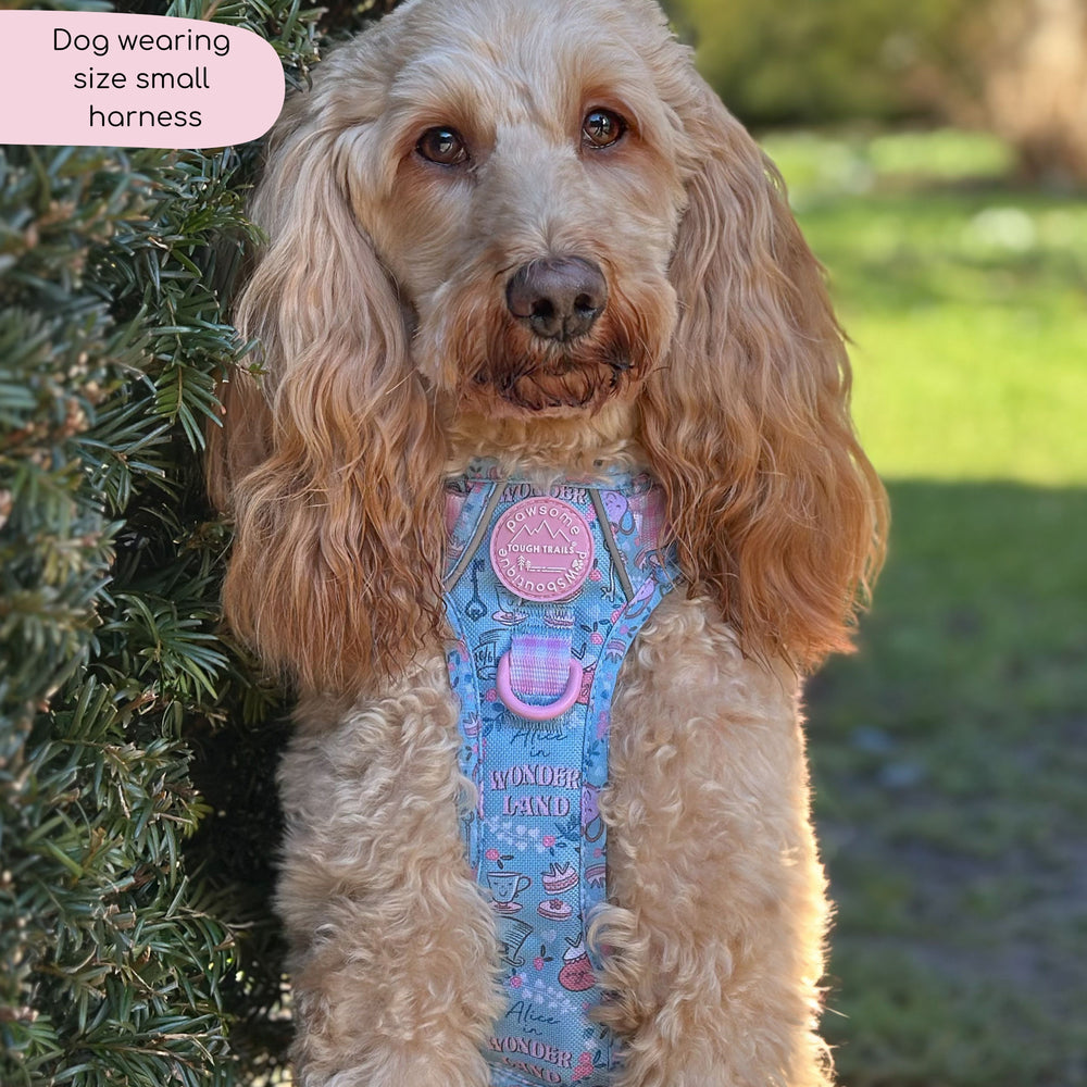 Disney© Tough Trails™ Harness - Mad Hatters Tea Party