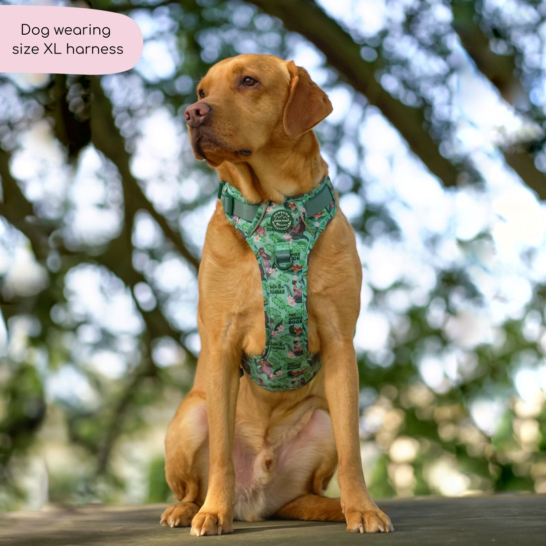 Disney© Tough Trails™ Harness - Jungle Book