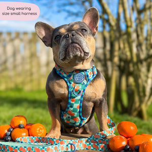 Tough Trails™ Harness -  Fruit Punch