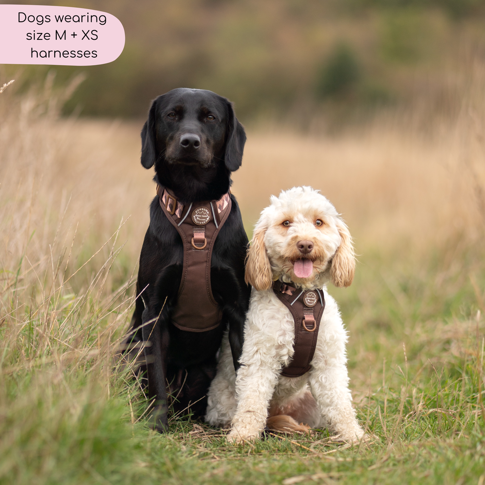 Tough Trails™ Harness - Walkies Ready® Chocolate Brown