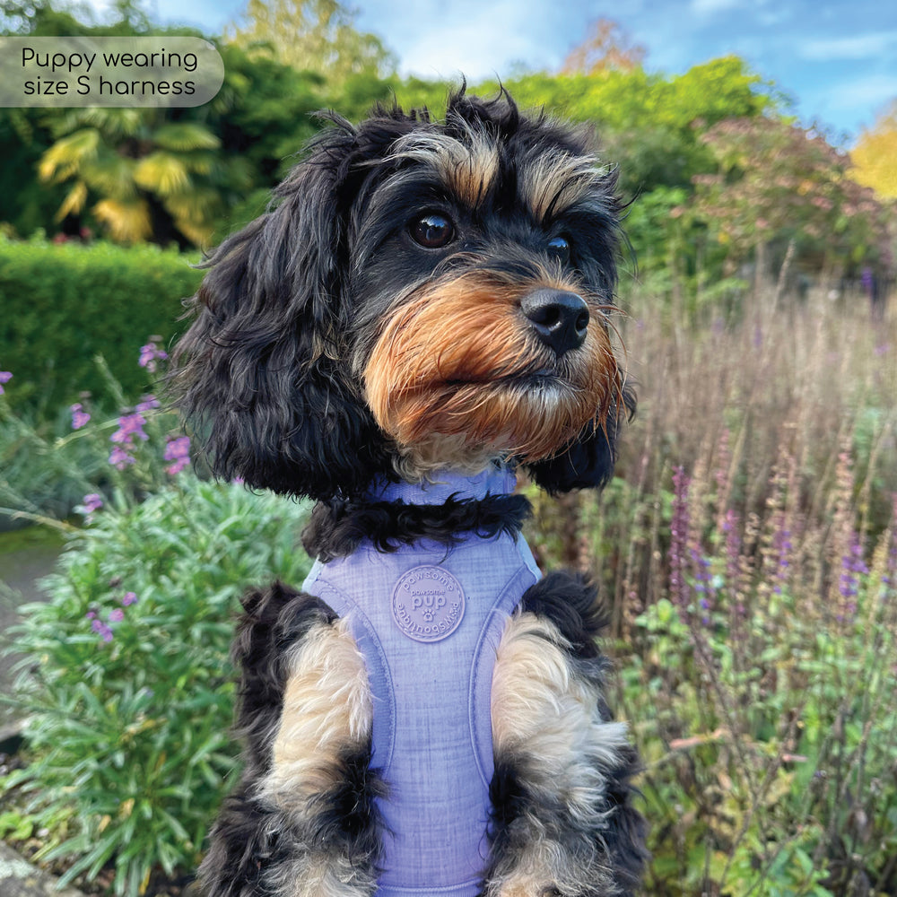 Pawsome Pup Harness - Lilac