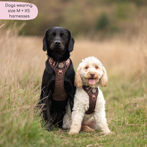 Tough Trails™ Harness - Walkies Ready® Chocolate Brown