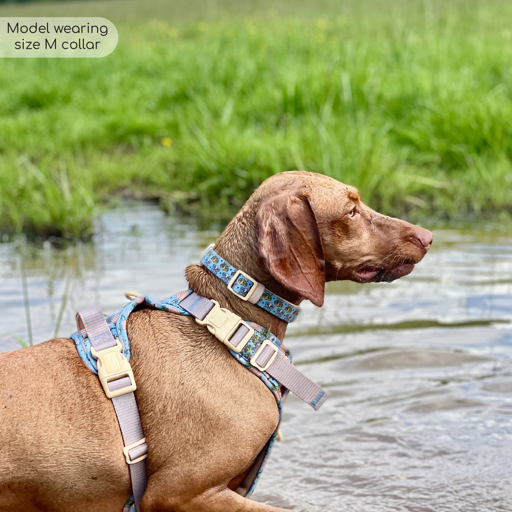 Disney© Collar - Lion Friends