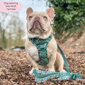 Disney© Tough Trails™ Harness - Jungle Book
