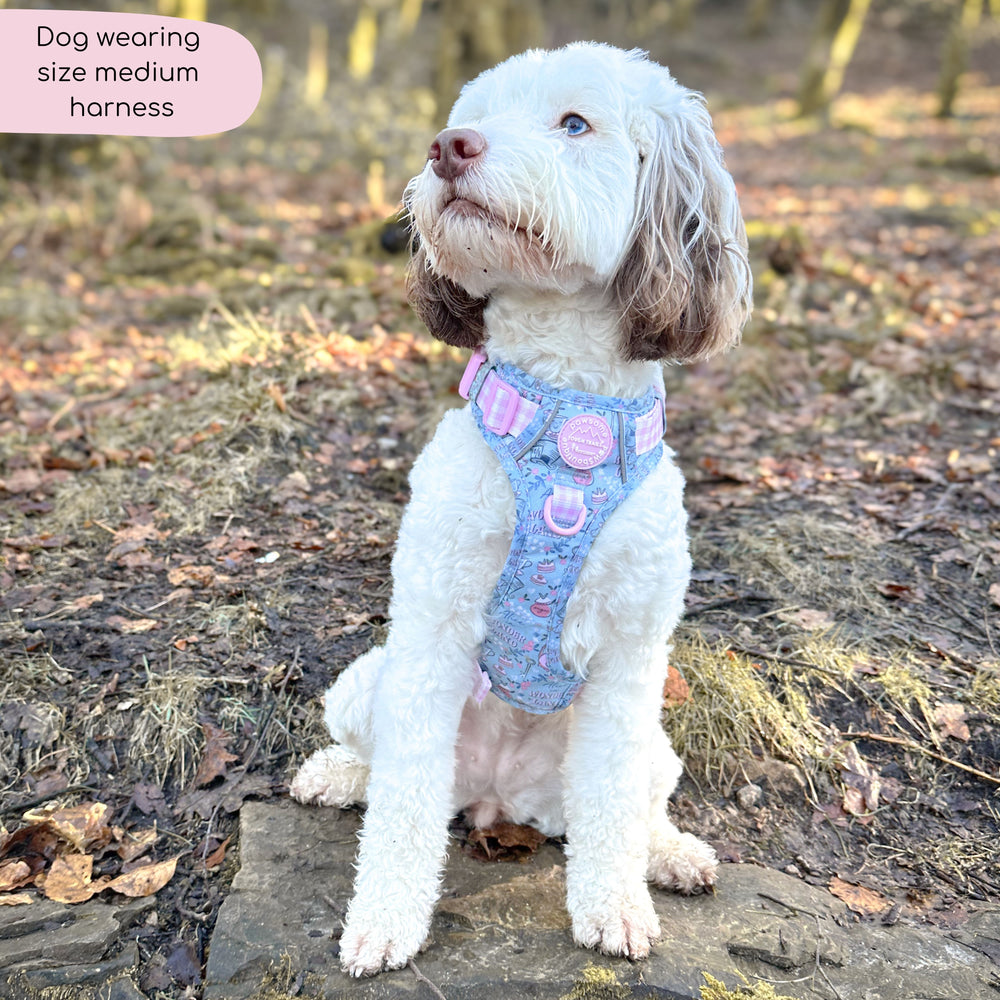 Disney© Tough Trails™ Harness - Mad Hatters Tea Party