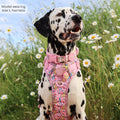Disney© Tough Trails™ Harness - Nala