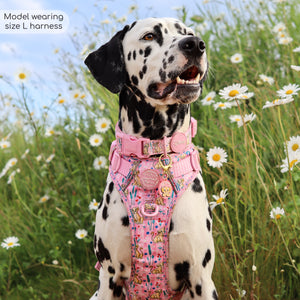 Disney© Tough Trails™ Harness - Nala