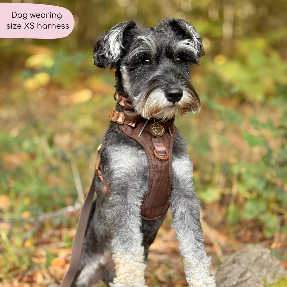 Tough Trails™ Harness - Walkies Ready® Chocolate Brown