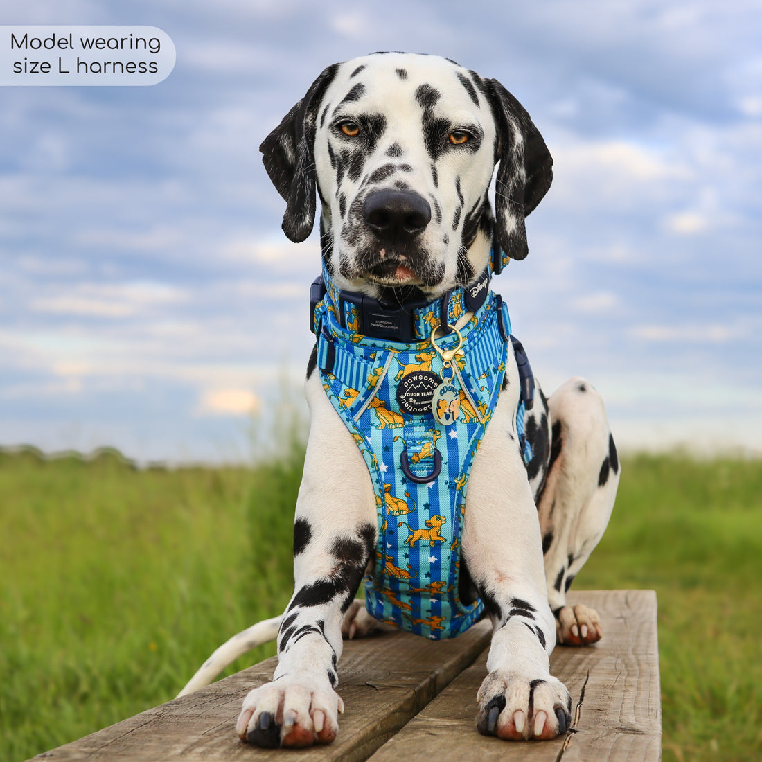 Disney© Tough Trails™ Harness - Simba