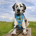 Disney© Tough Trails™ Harness - Simba
