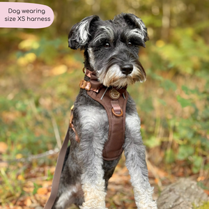 Tough Trails™ Harness - Walkies Ready® Chocolate Brown