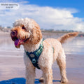Tough Trails™ Harness - Walkies Ready® Forest Green