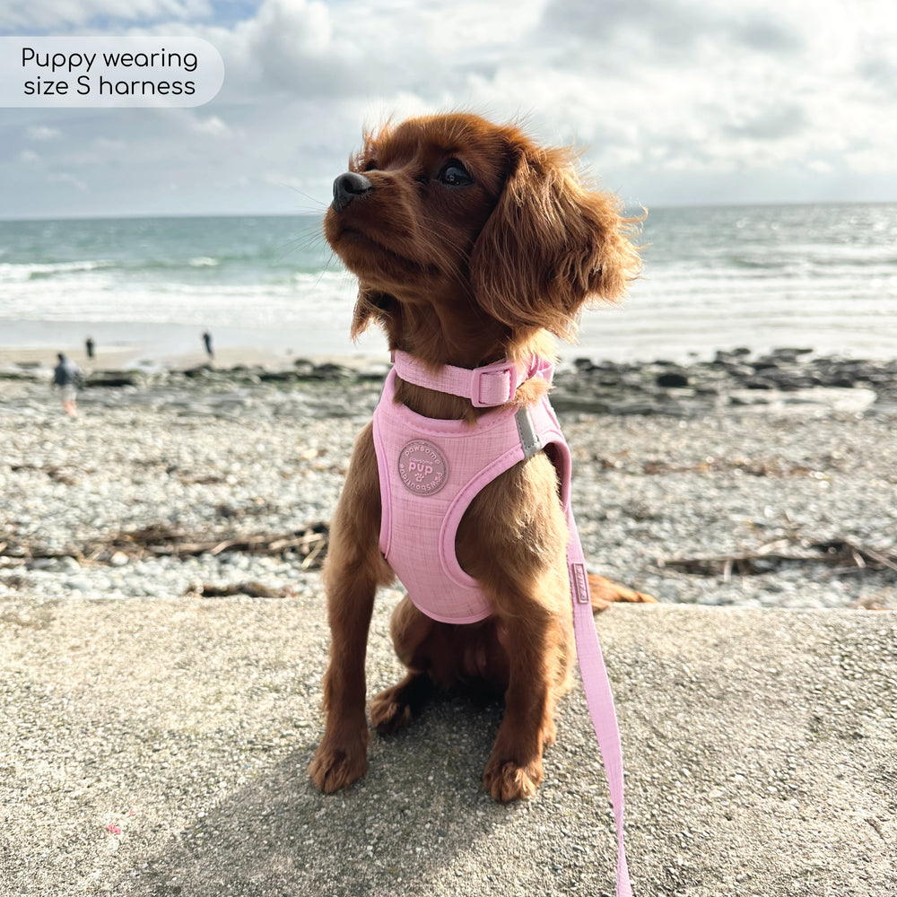 Pawsome Pup Harness - Pink