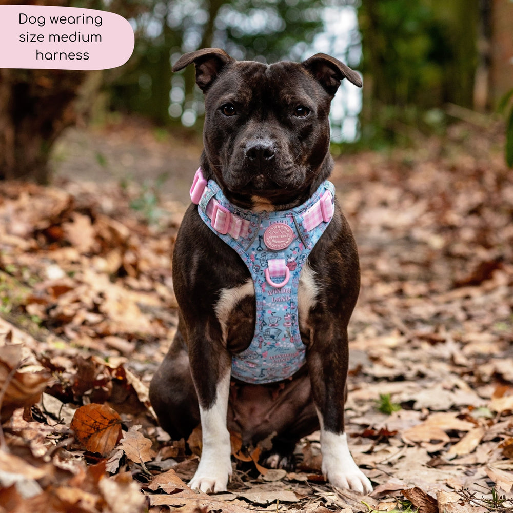 Disney© Tough Trails™ Harness - Mad Hatters Tea Party