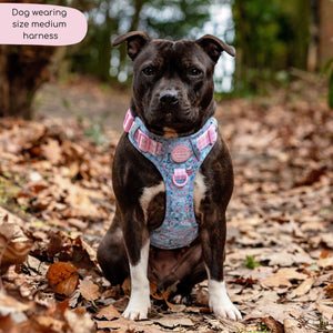 Disney© Tough Trails™ Harness - Mad Hatters Tea Party