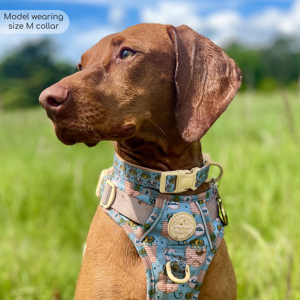 Disney© Collar - Lion Friends