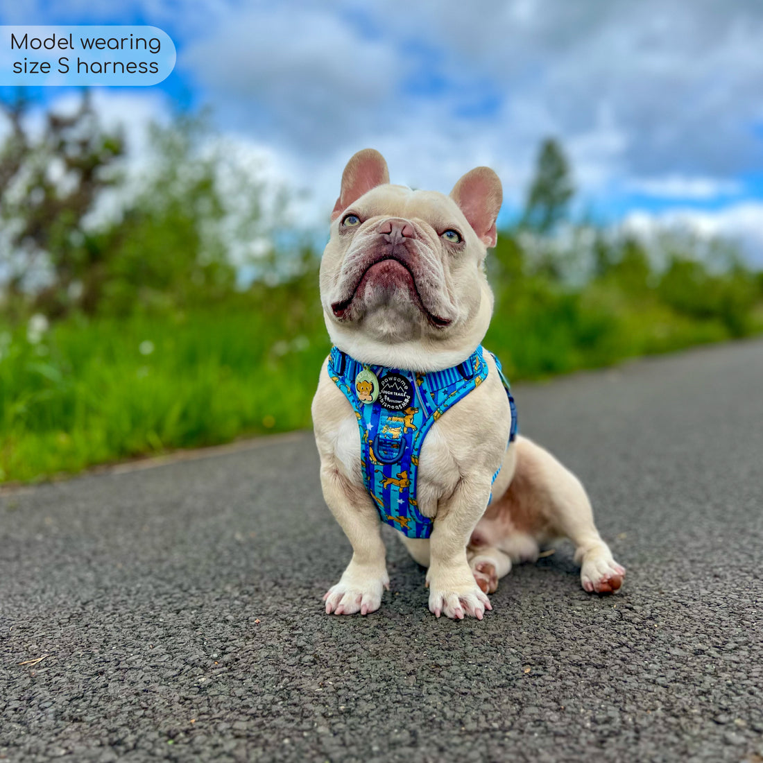 Disney© Tough Trails™ Harness - Simba