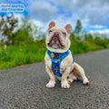 Disney© Tough Trails™ Harness - Simba