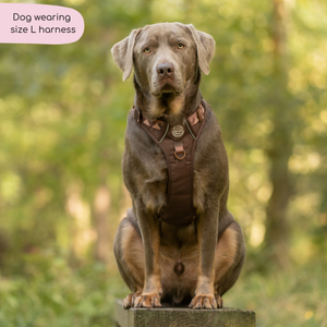 Tough Trails™ Harness - Walkies Ready® Chocolate Brown