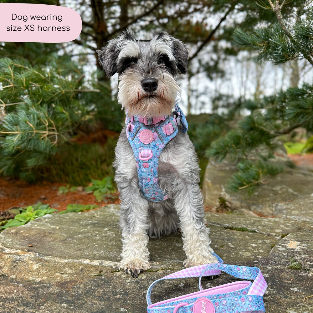 Disney© Tough Trails™ Harness - Mad Hatters Tea Party