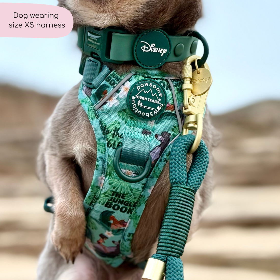 Disney© Tough Trails™ Harness - Jungle Book