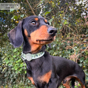 Collar - Walkies Ready® Forest Green
