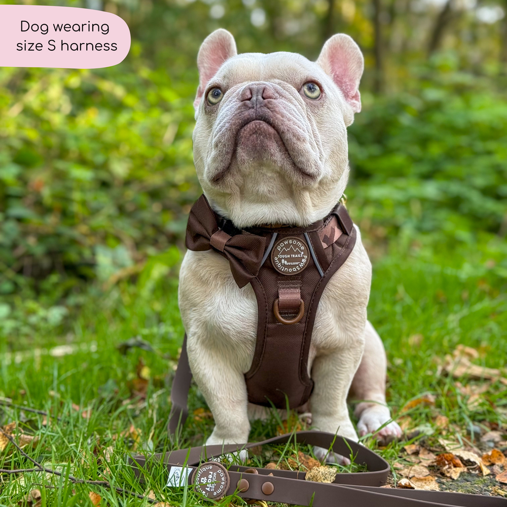 Tough Trails™ Harness - Walkies Ready® Chocolate Brown