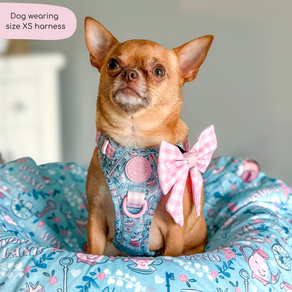 Disney© Tough Trails™ Harness - Mad Hatters Tea Party