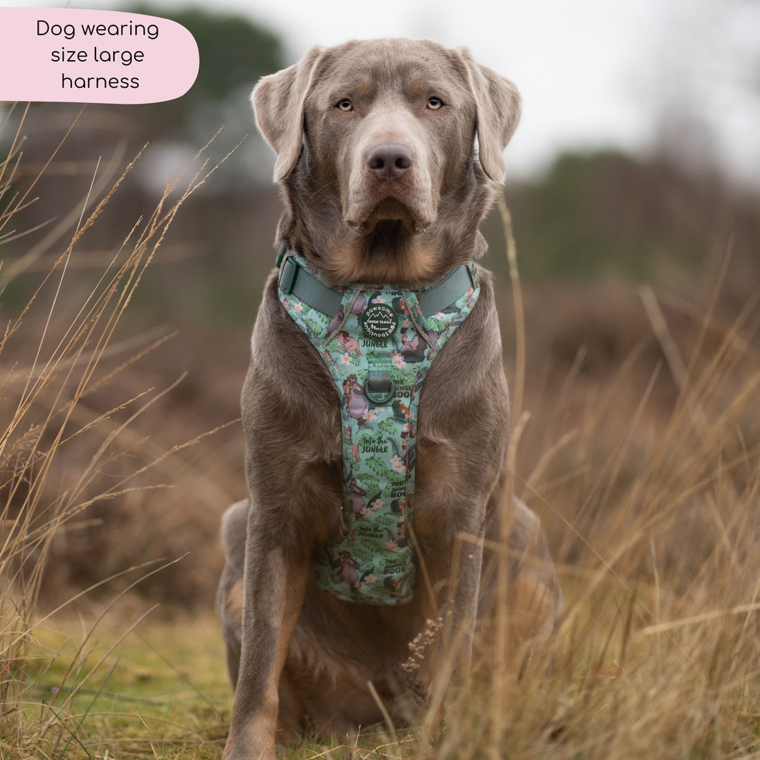 Disney© Tough Trails™ Harness - Jungle Book