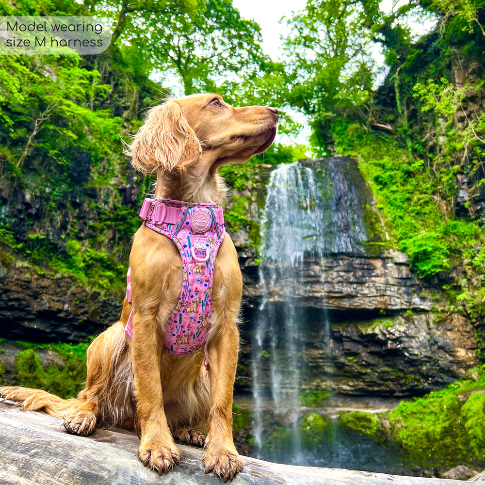 Disney© Tough Trails™ Harness - Nala
