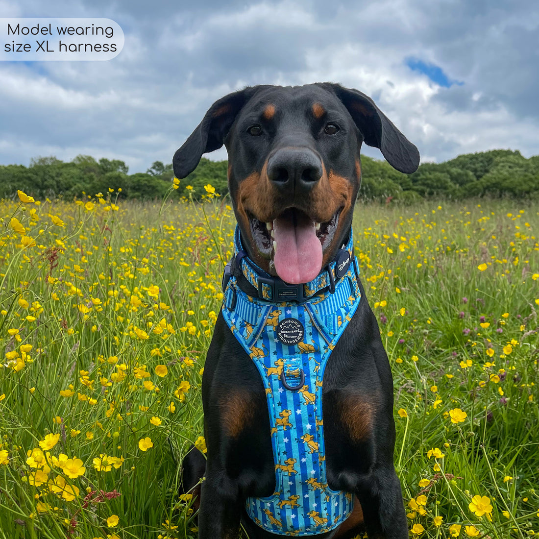 Disney© Tough Trails™ Harness - Simba